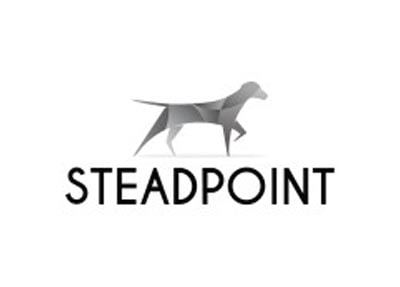 Steadpoint
